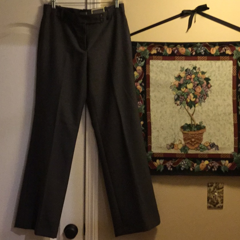 Ann Taylor Signature Fit lined pants. Size 6.  NWT